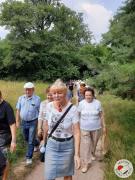 Seniorzy wędrują przez las